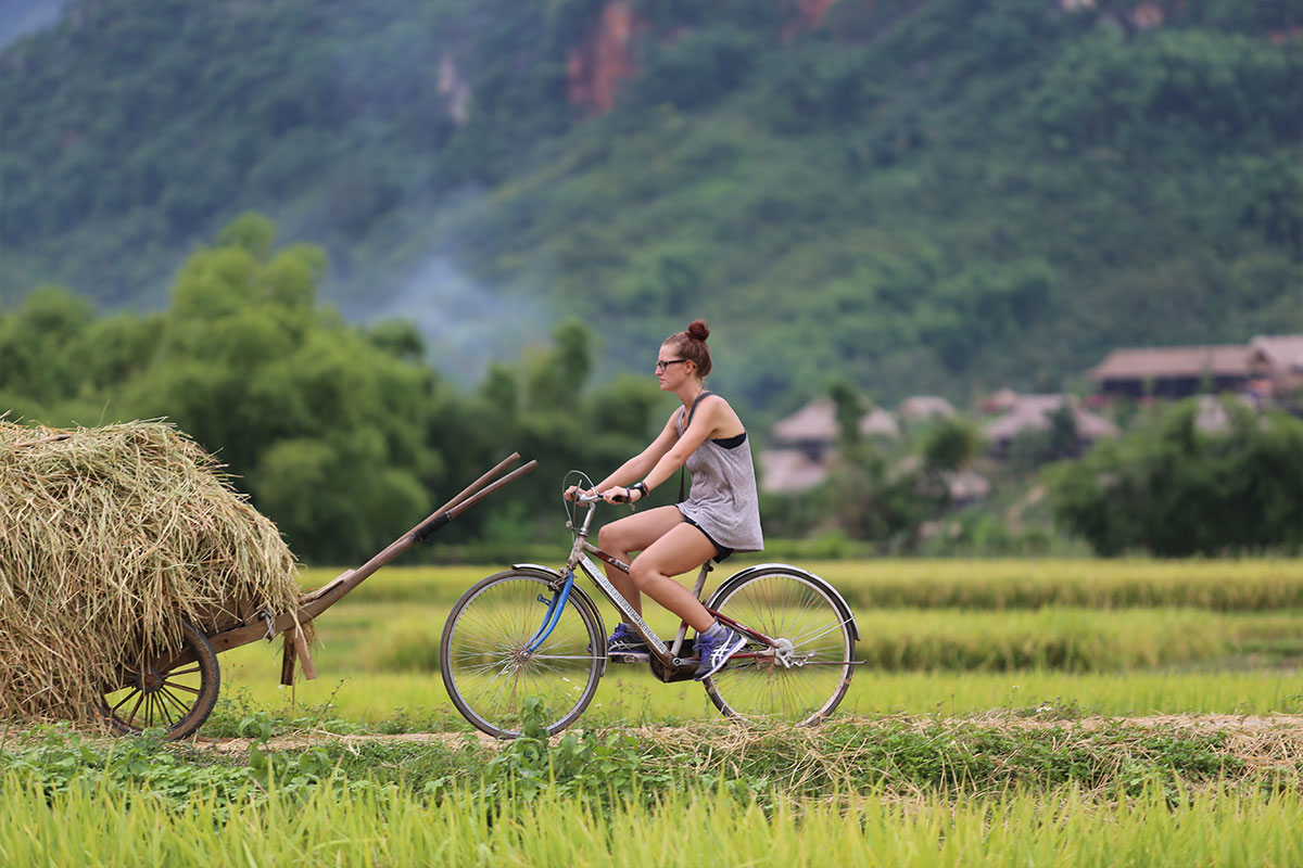 Đạp xe - Bình Quới